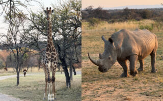 How Gratitude Affects Our Relationship with God