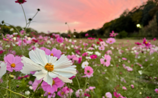 Discovering True Identity in Christ